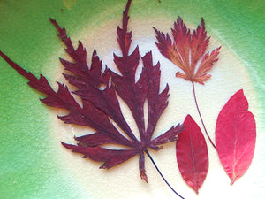 A sunny weekend in Autumn
