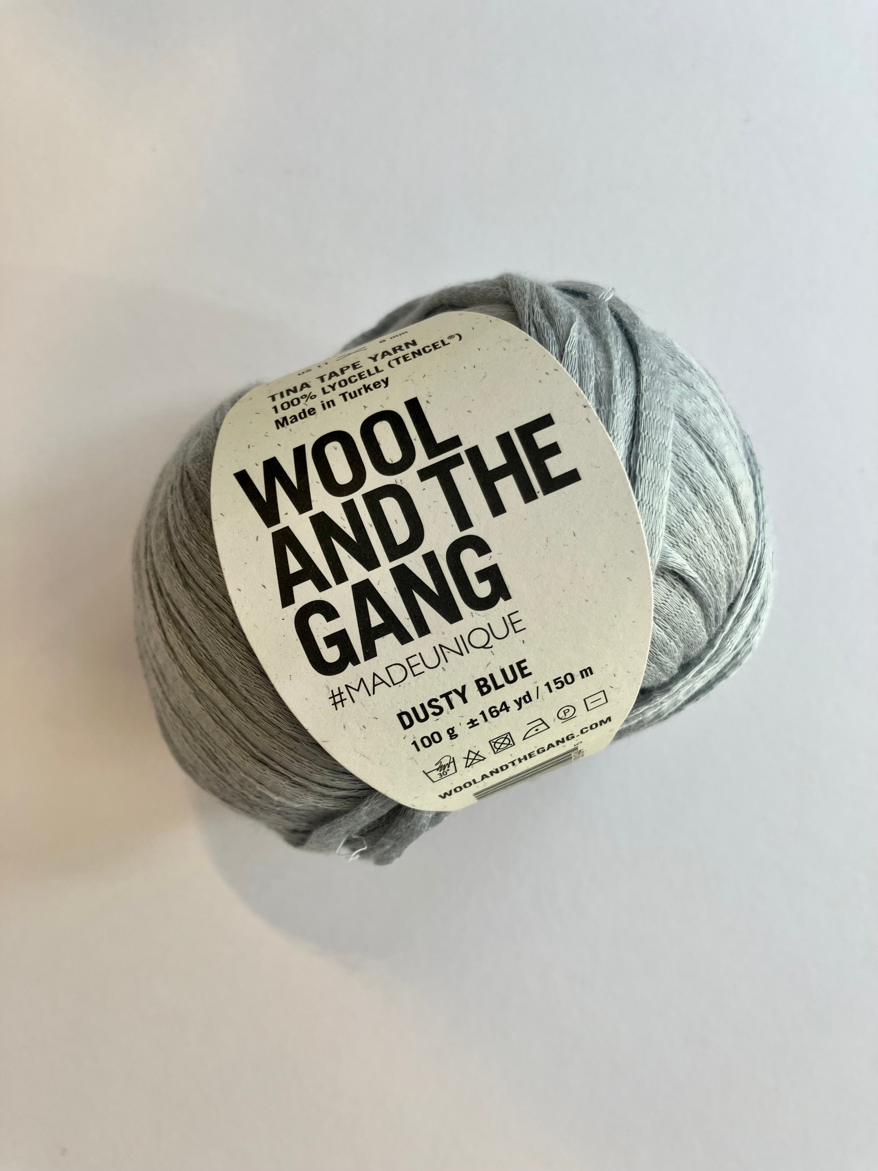 Wool and the Gang - Tina Tape Lyocell Yarn