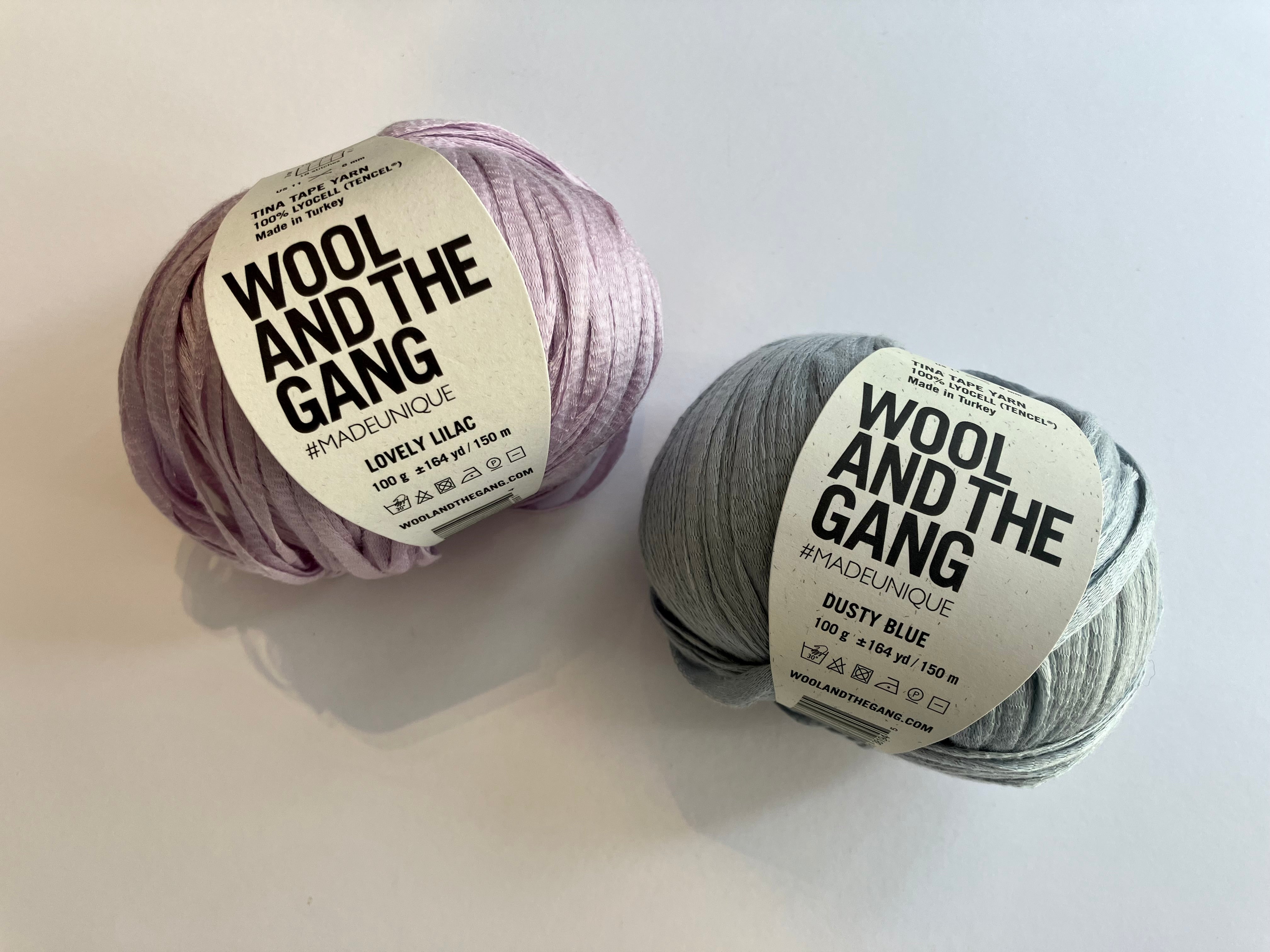 Wool and the Gang - Tina Tape Lyocell Yarn