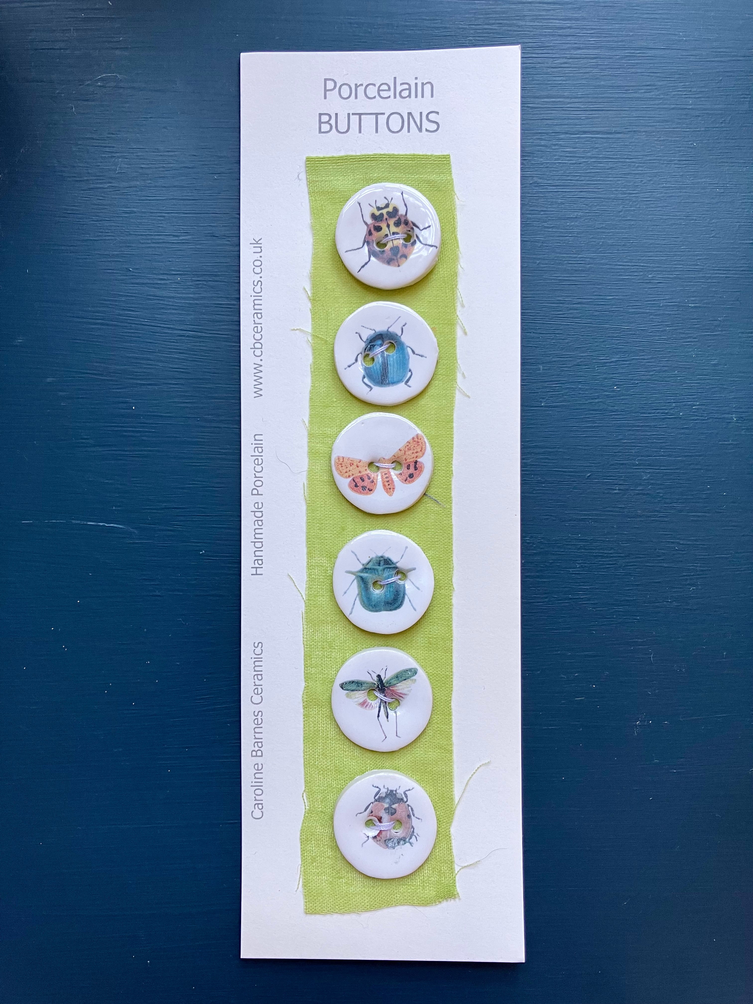 Caroline Barnes - Handmade Porcelain Buttons - Minibeasts