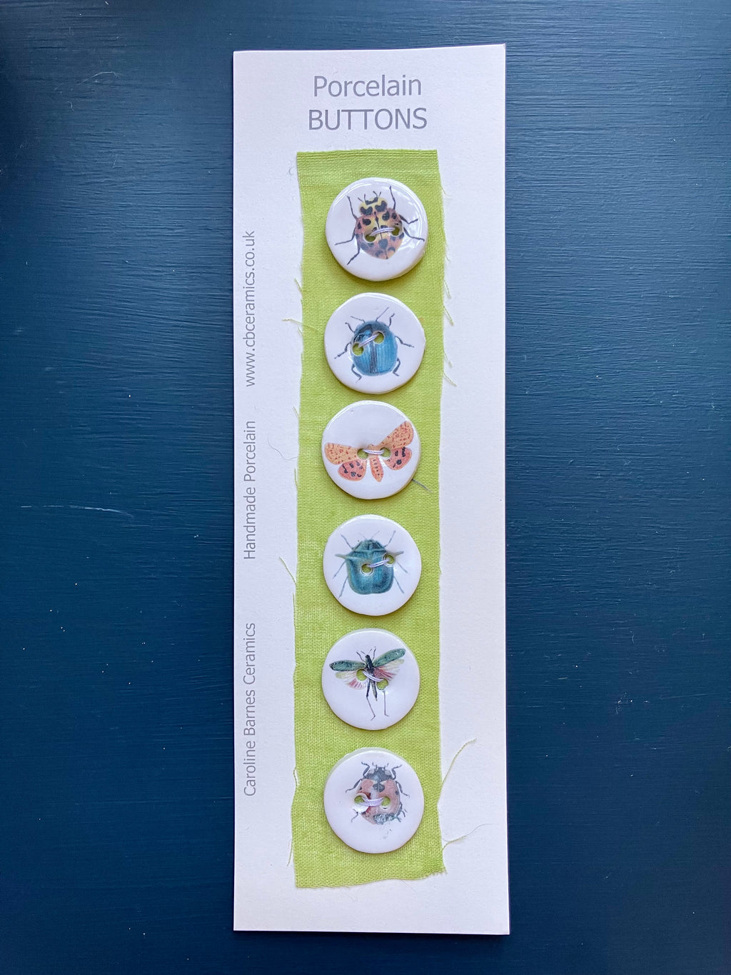 Caroline Barnes - Handmade Porcelain Buttons - Minibeasts