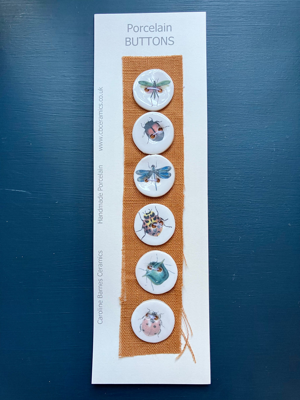 Caroline Barnes - Handmade Porcelain Buttons - Minibeasts