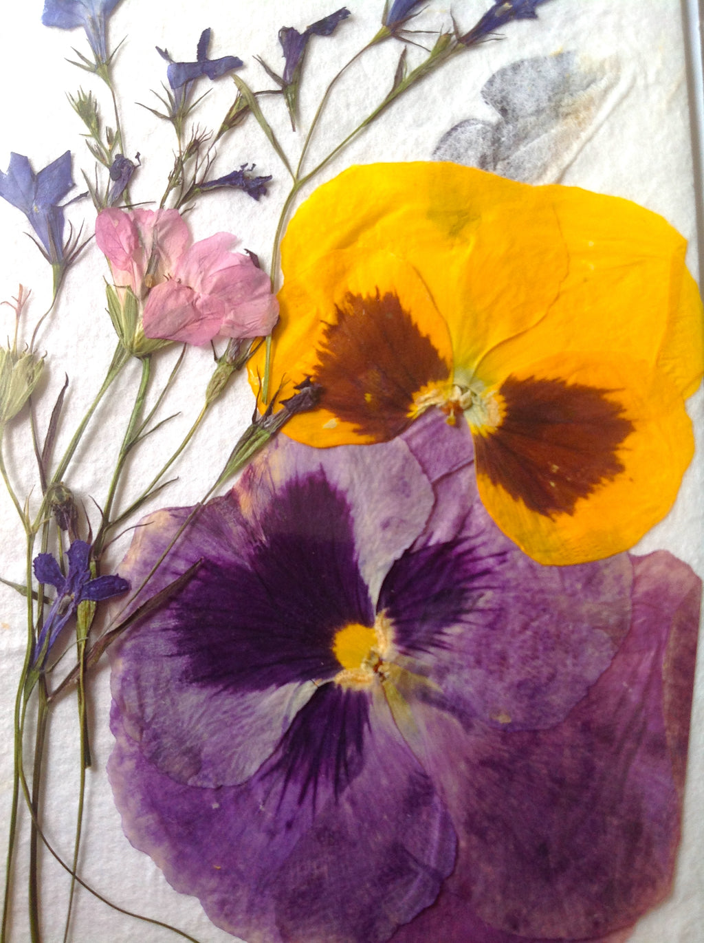 Pressed Flower Greeting Cards - Hand made