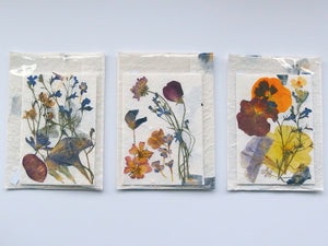 Pressed Flower Greeting Cards - Hand made